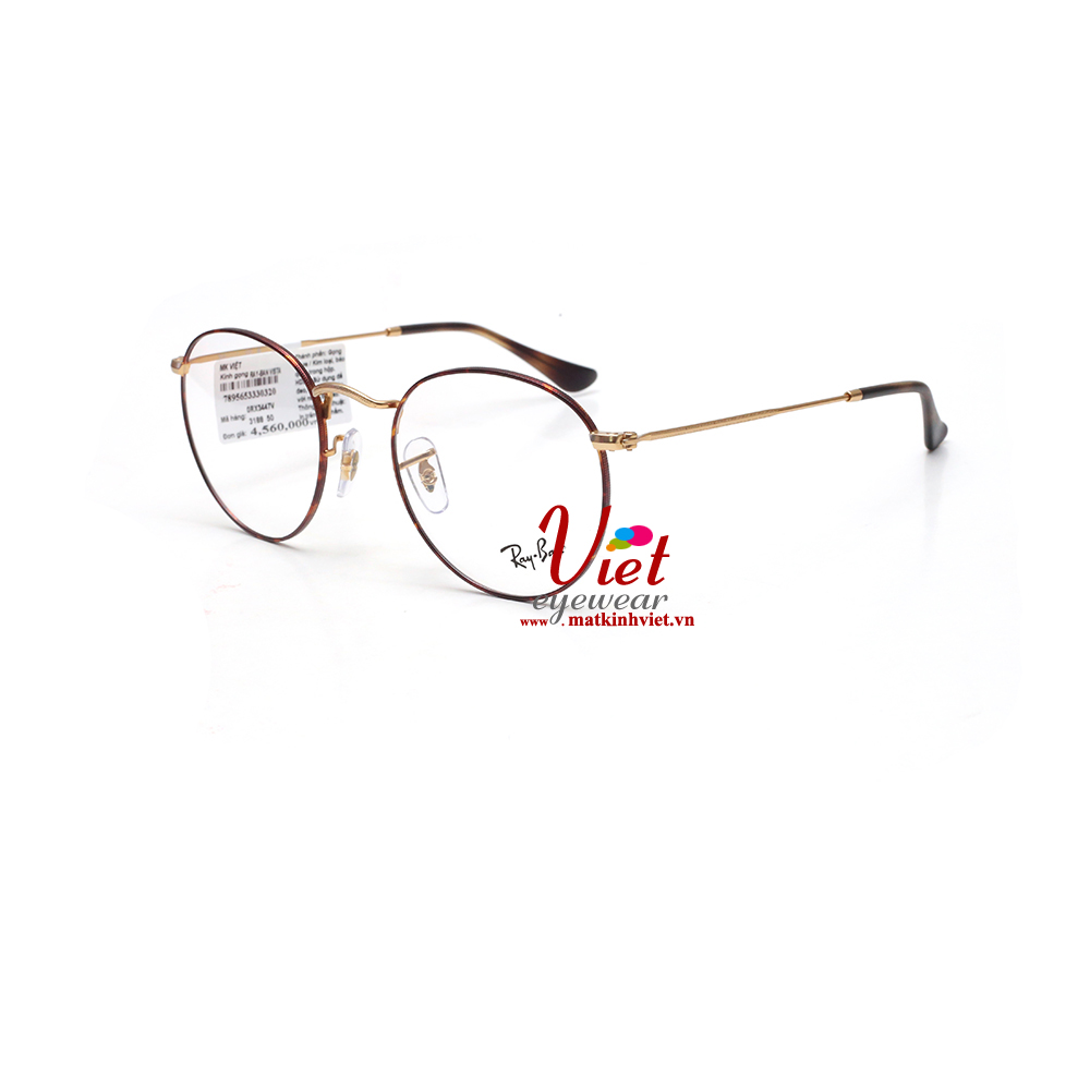 Gọng kính RayBan RB3447V 3188